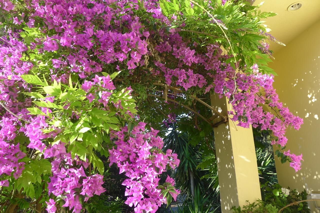 St. Thomas Bed And Breakfast Paiania Екстер'єр фото